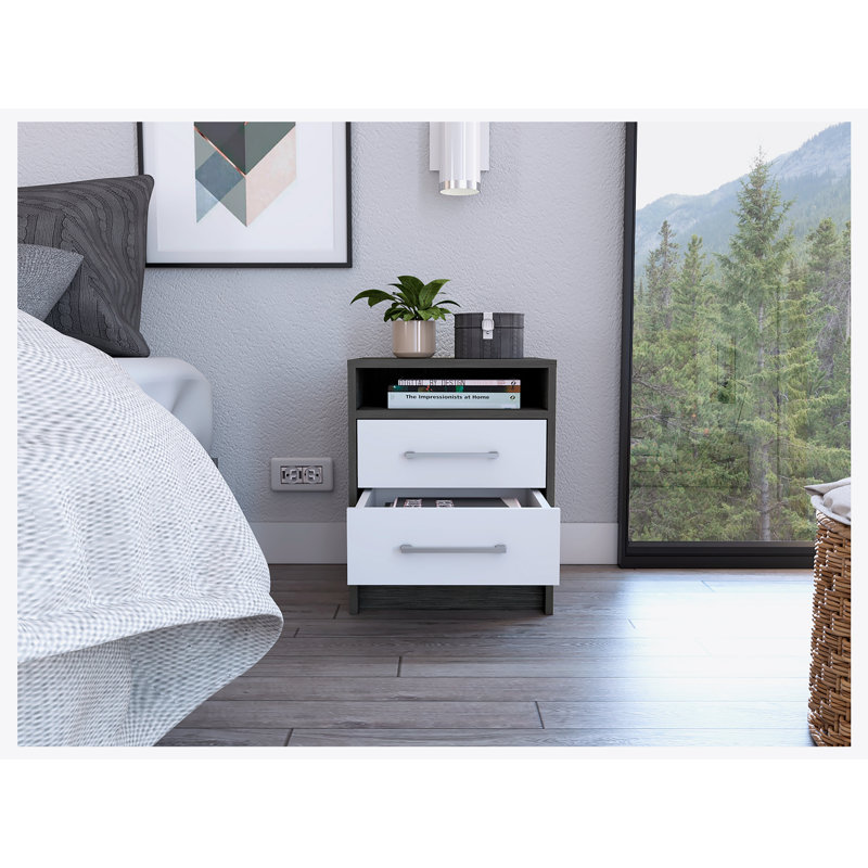 Rowley 2 Drawer 1 Shelf Rectangle Nightstand Latitude Run Color Black White
